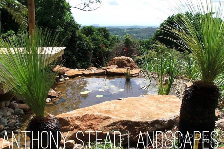 Natural pond setting with elevated viewing deck.
