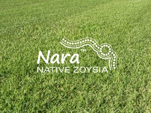 Nara Turf Supplier Maroochydore Sunshine Coast