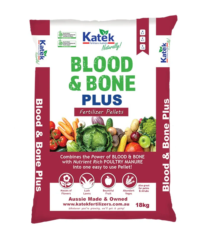Blood & Bone Plus